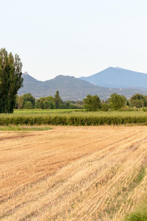 Bed & Breakfast Mas Des Tourterelles Jonquieres (Vaucluse)